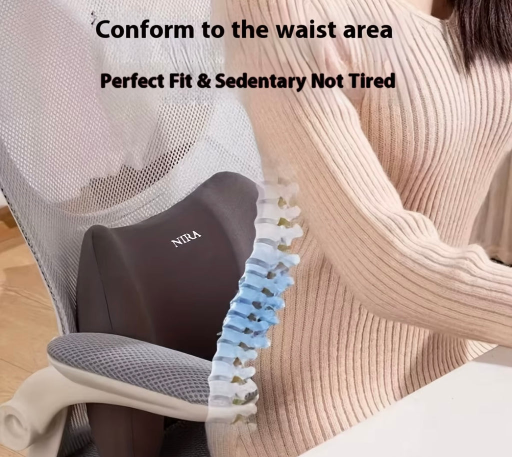 ErgoLift Lumbar Support Cushion