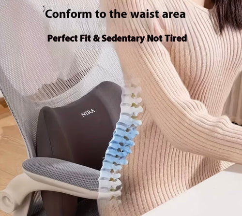 ErgoLift Lumbar Support Cushion